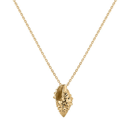 Necklace Golden Seashell