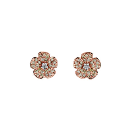 Earrings with brown and white diamonds Radiant Rose