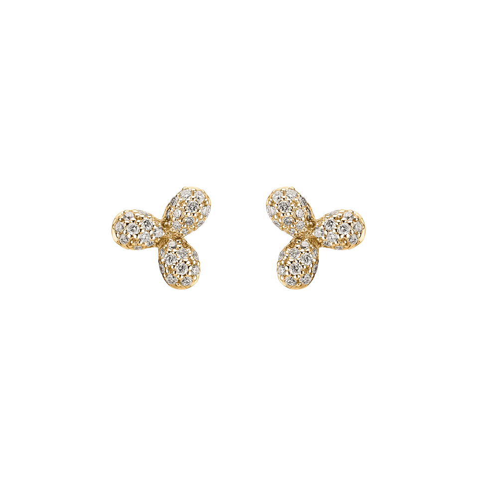 Diamond earrings Nature Beauty