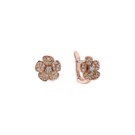 Earrings with brown and white diamonds Radiant Rose