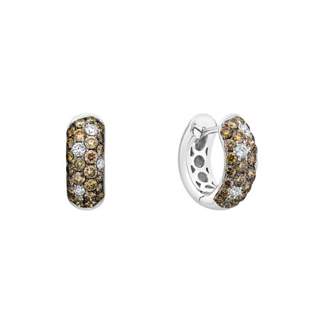 Earrings with brown and white diamonds Avis